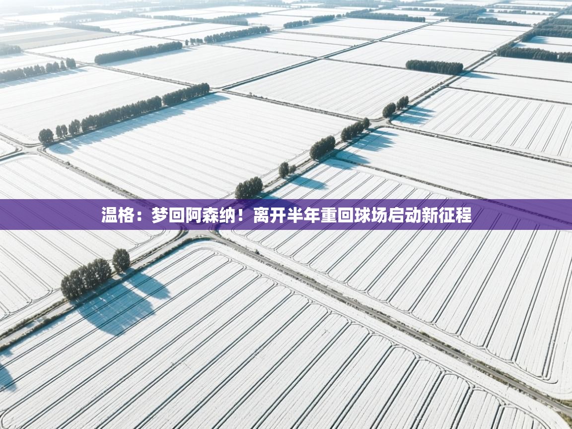 云开体育入口-温格:梦回阿森纳!离开半年重回球场启动新征程 第2张