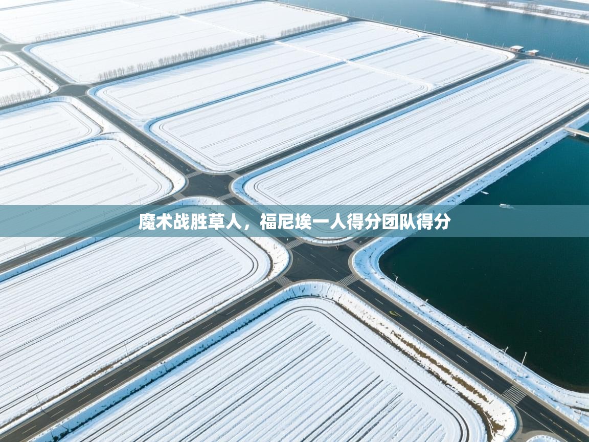 开云体育数据中心统计-魔术战胜草人，福尼埃一人得分团队得分  第2张