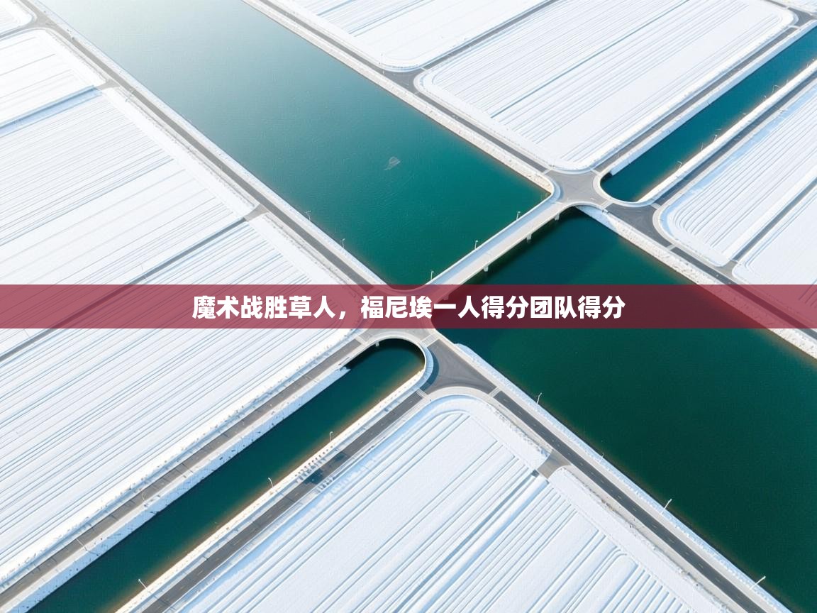 开云体育数据中心统计-魔术战胜草人，福尼埃一人得分团队得分  第4张