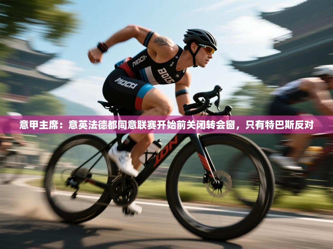 开云手机版-意甲主席：意英法德都同意联赛开始前关闭转会窗，只有特巴斯反对  第2张