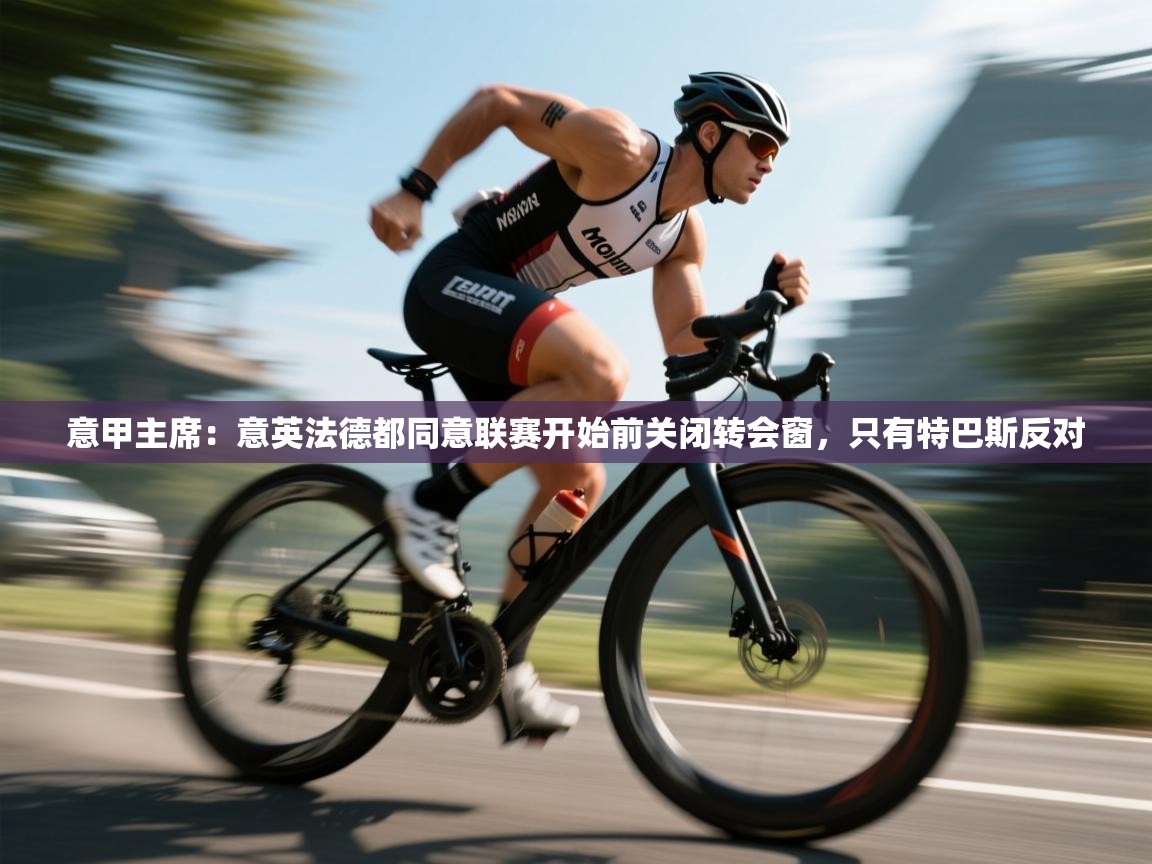 开云手机版-意甲主席：意英法德都同意联赛开始前关闭转会窗，只有特巴斯反对  第4张