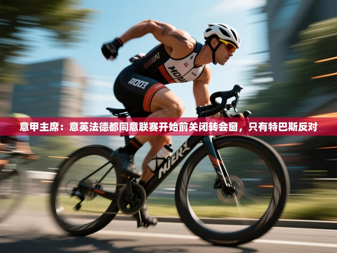 开云手机版-意甲主席：意英法德都同意联赛开始前关闭转会窗，只有特巴斯反对  第3张