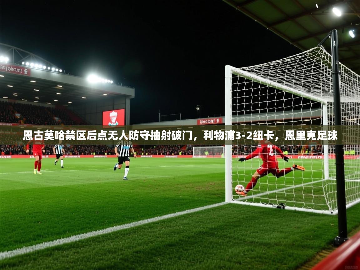 开云体育官方版下载-恩古莫哈禁区后点无人防守抽射破门，利物浦3-2纽卡，恩里克足球  第1张
