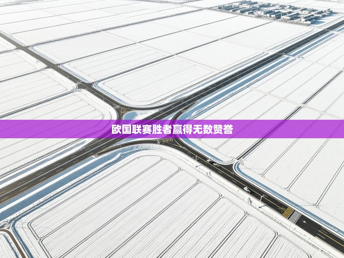 开云体育安装失败怎么办-欧国联赛胜者赢得无数赞誉 第3张