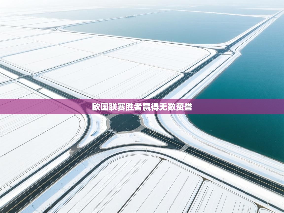 开云体育安装失败怎么办-欧国联赛胜者赢得无数赞誉 第1张